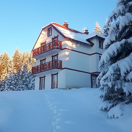 Vila Natasa Kopaonik Exterior foto
